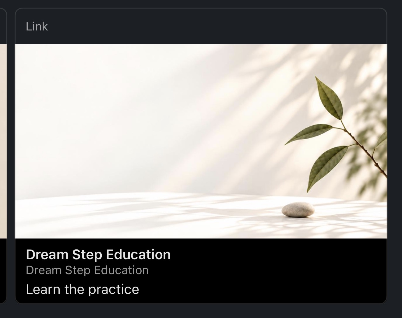 Original Dream Step Education link artwork with warm sunlight and olive leaves.