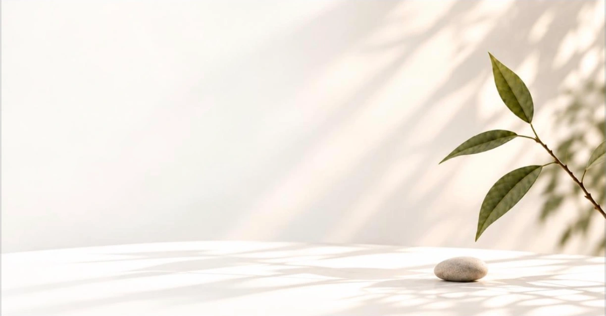 Original Dream Step Education link artwork with warm sunlight and olive leaves.